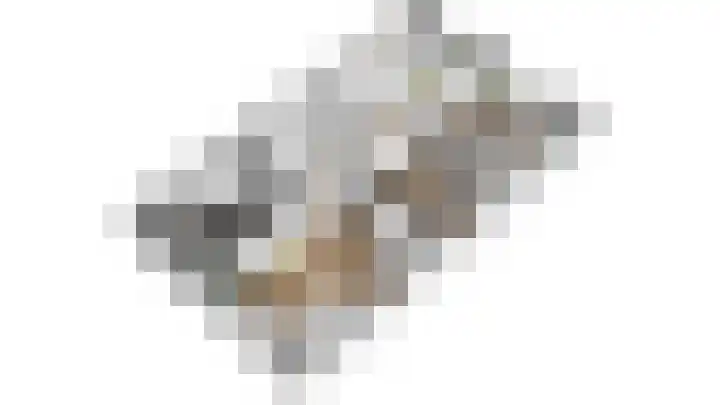Duinland 15 Waddinxveen thumbnail 10