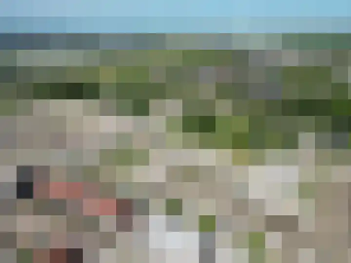 Duinland 15 Waddinxveen thumbnail 17