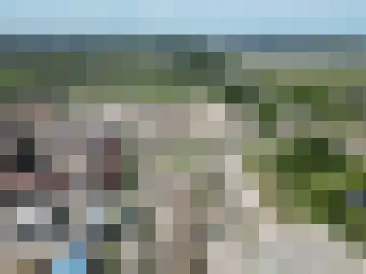 Duinland 15 Waddinxveen thumbnail 19