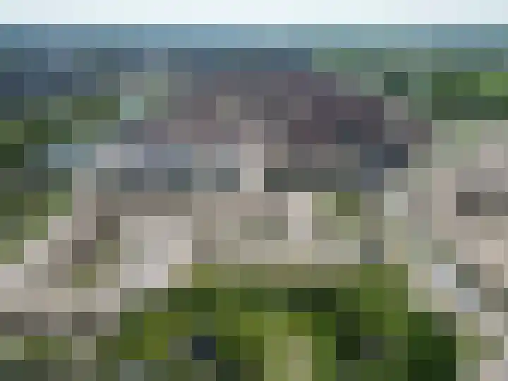 Duinland 15 Waddinxveen thumbnail 20