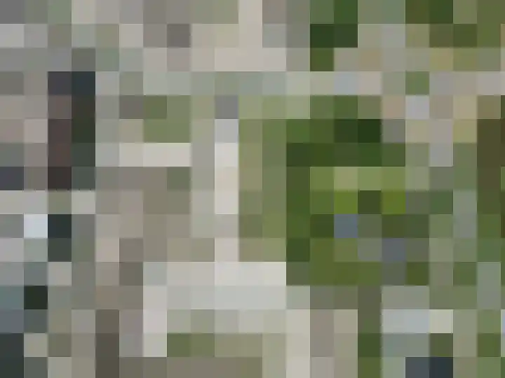 Duinland 15 Waddinxveen thumbnail 22