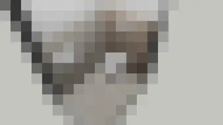 Duinland 15 Waddinxveen thumbnail 4