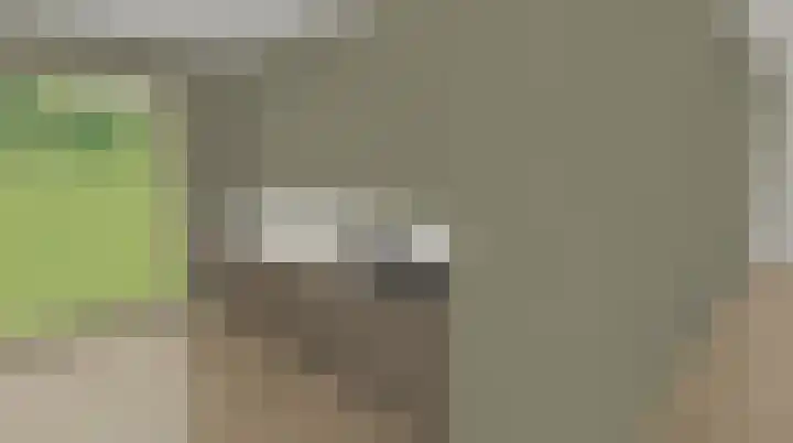 Duinland 15 Waddinxveen thumbnail 9