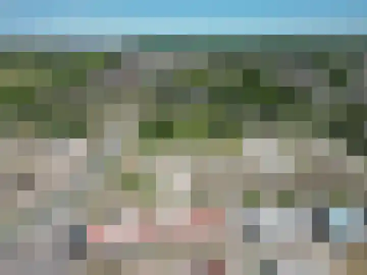 Duinland 32 Waddinxveen thumbnail 18