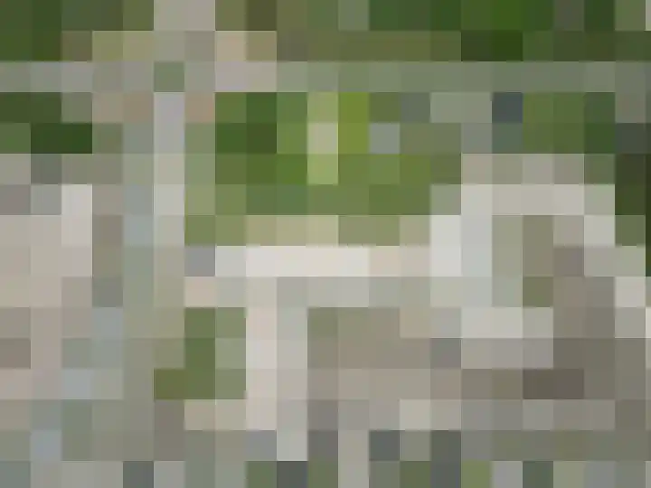 Duinland 32 Waddinxveen thumbnail 20