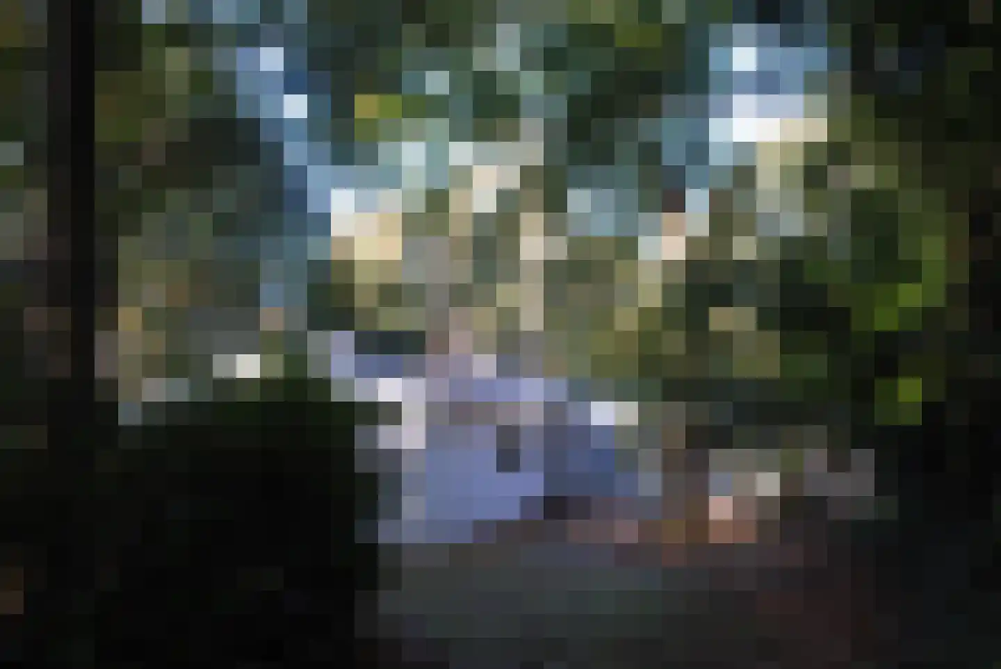 Duinlustweg 3 Wassenaar thumbnail 4