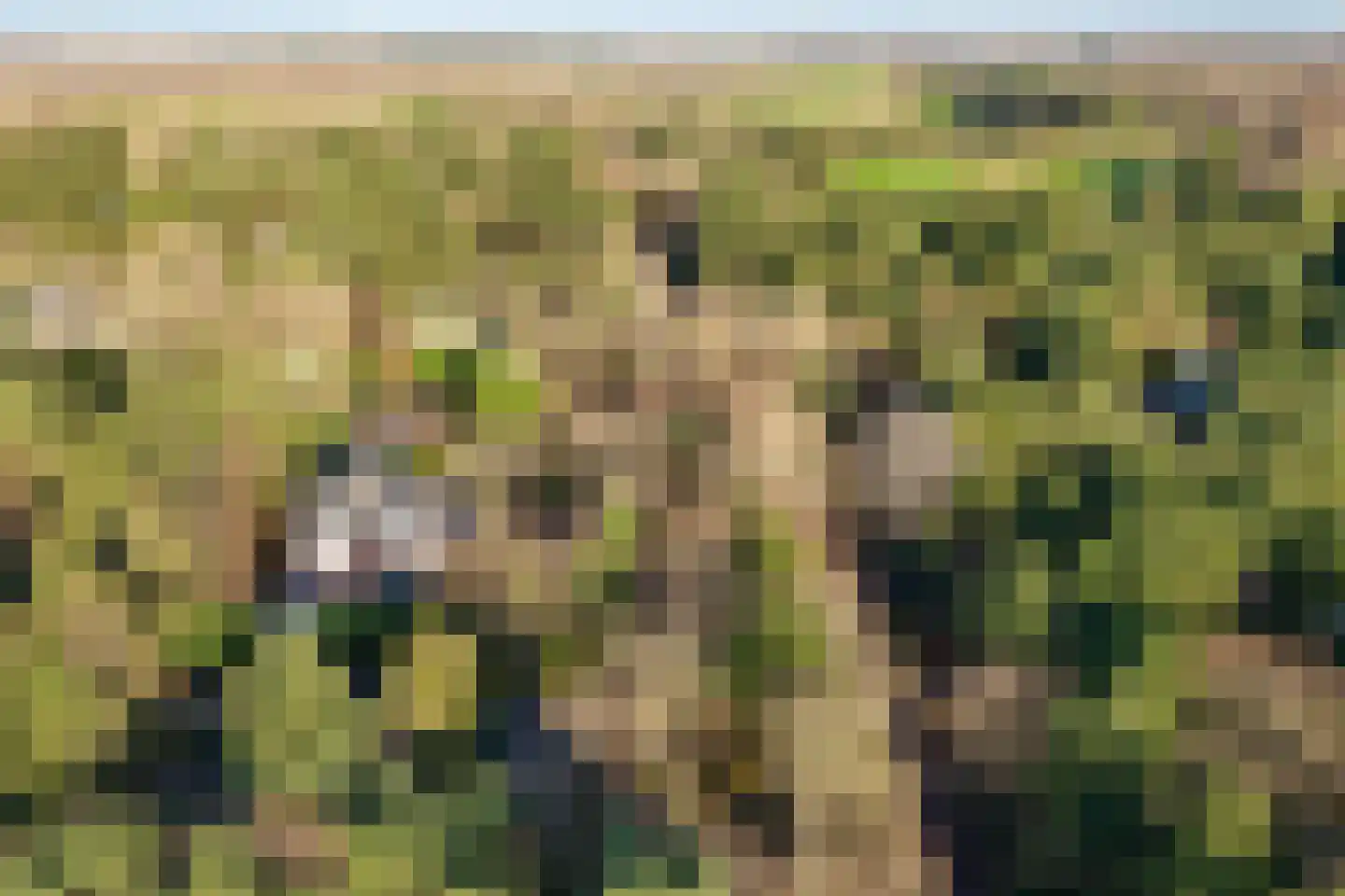 Duinlustweg 3 Wassenaar thumbnail 7