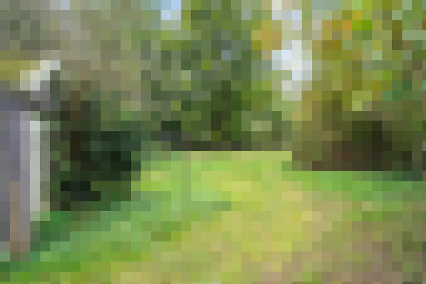Duinlustweg 42 Overveen thumbnail 47