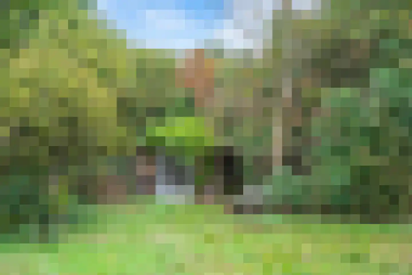 Duinlustweg 42 Overveen thumbnail 49