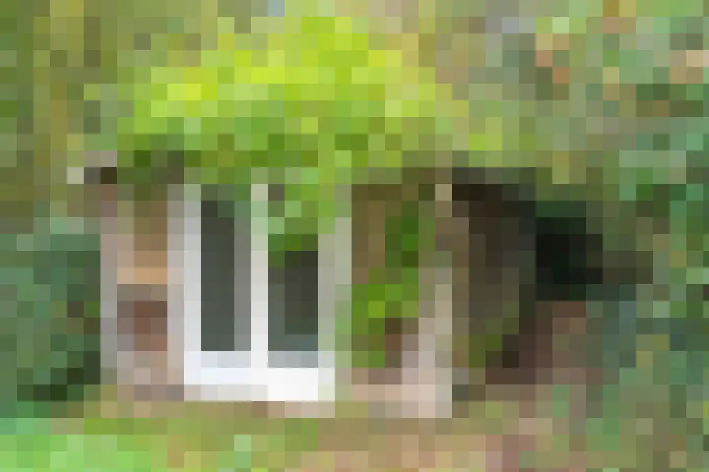 Duinlustweg 42 Overveen thumbnail 50
