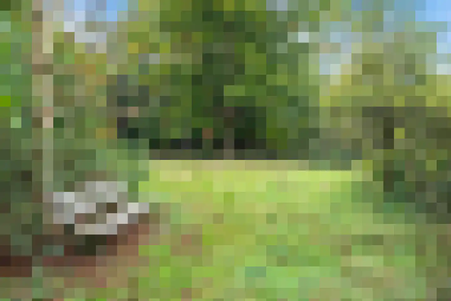 Duinlustweg 42 Overveen thumbnail 54