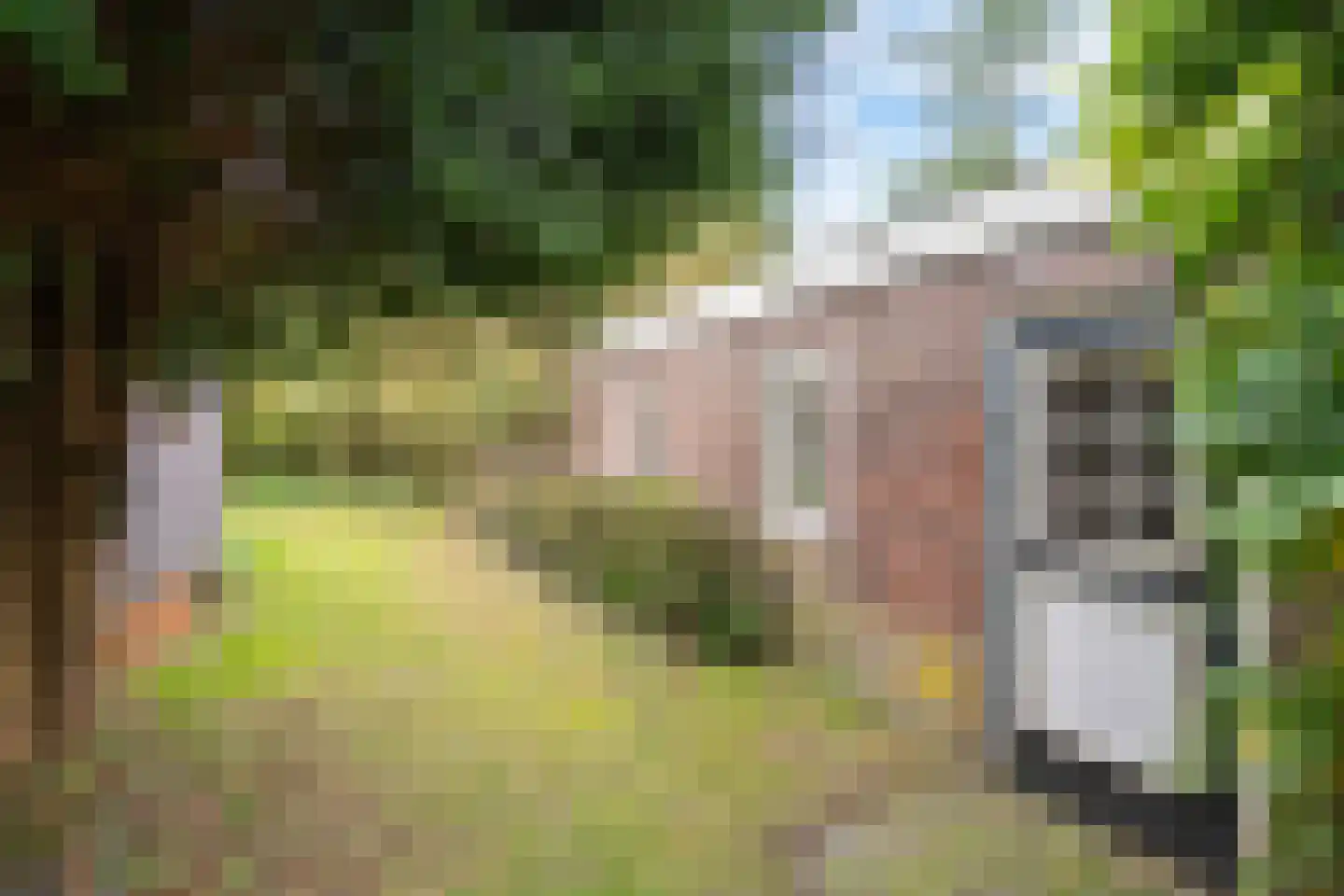 Duinlustweg 42 Overveen thumbnail 60