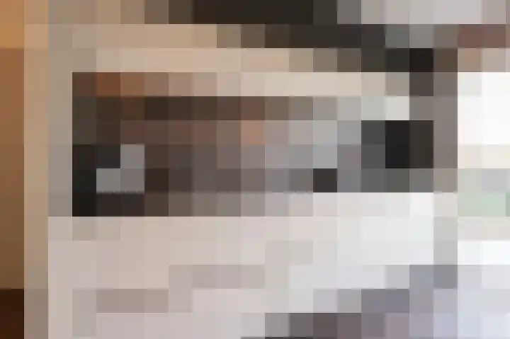 Duinmeer 102 Houten thumbnail 14