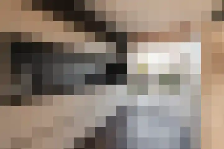 Duinmeer 102 Houten thumbnail 15