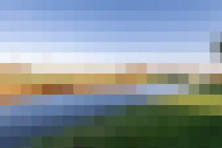 Duinmeer 102 Houten thumbnail 17
