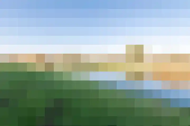 Duinmeer 102 Houten thumbnail 18