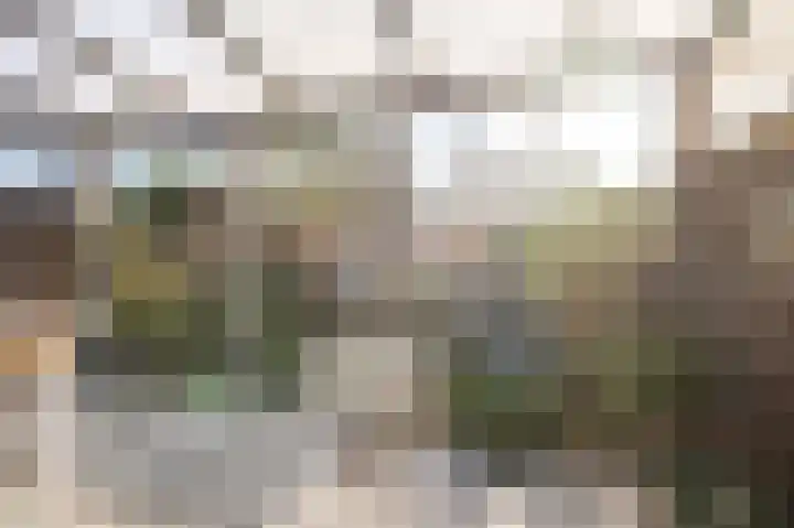 Duinmeer 102 Houten thumbnail 25