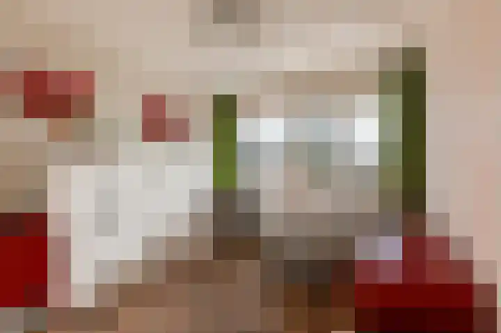 Duinmeer 102 Houten thumbnail 33