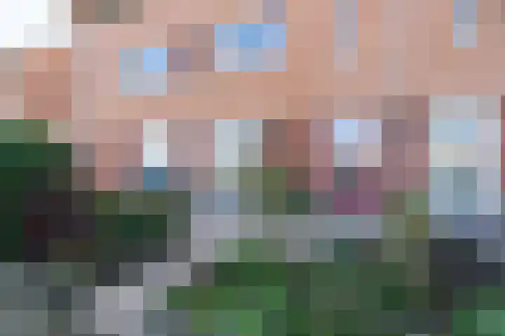 Duinmeer 102 Houten thumbnail 7