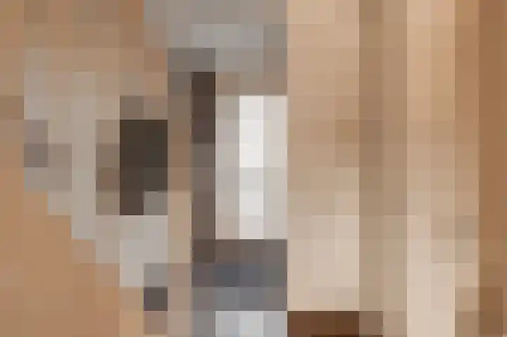 Duinmeer 102 Houten thumbnail 8