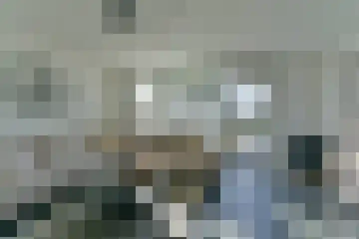 Duinmeer 11 Houten thumbnail 15