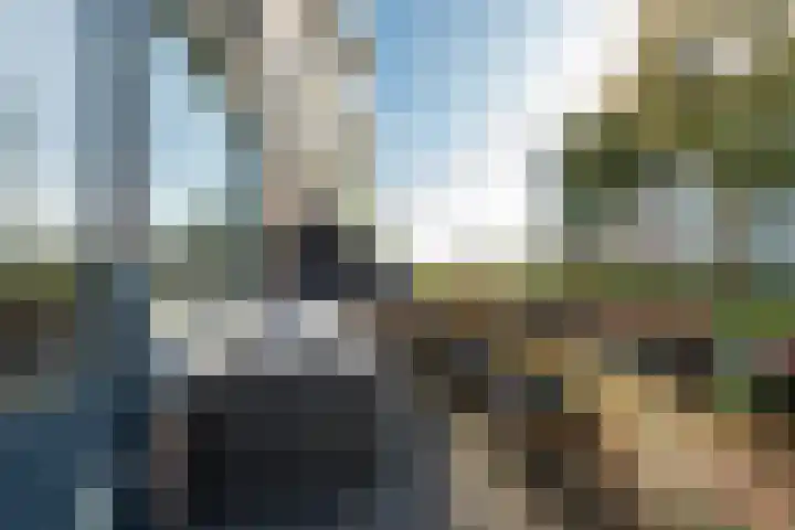 Duinmeer 11 Houten thumbnail 16