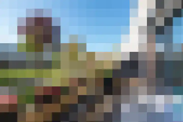 Duinmeer 11 Houten thumbnail 17
