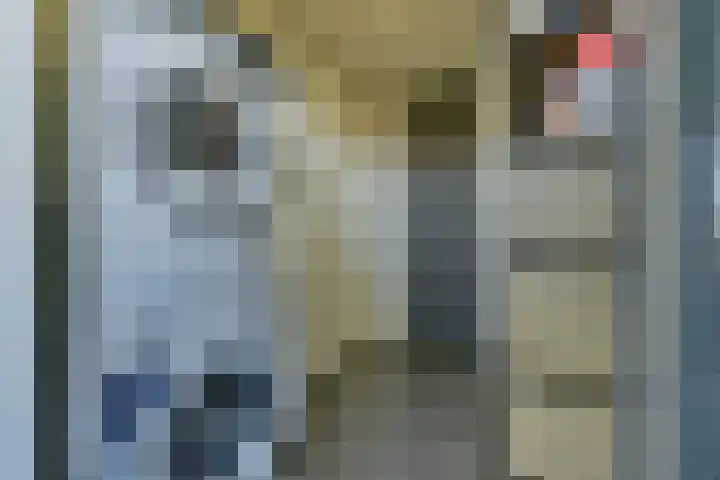 Duinmeer 11 Houten thumbnail 18