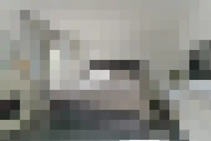 Duinmeer 11 Houten thumbnail 22