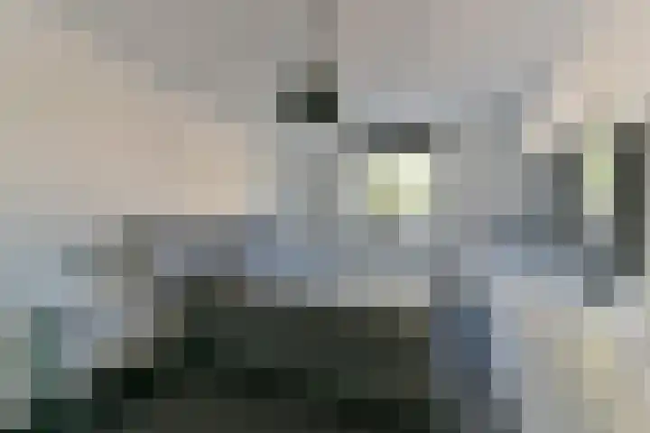 Duinmeer 11 Houten thumbnail 25