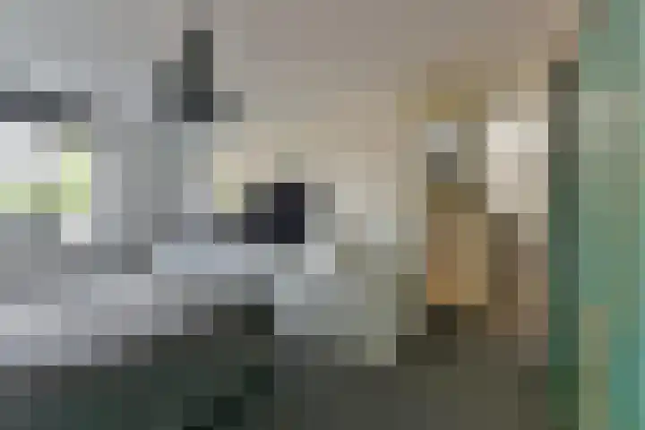 Duinmeer 11 Houten thumbnail 27