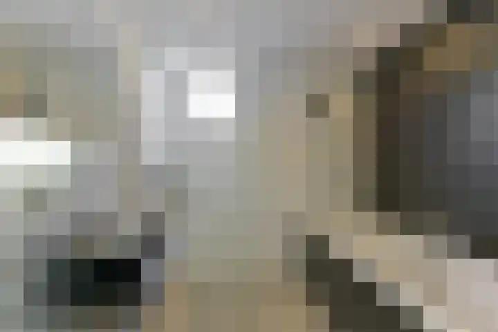 Duinmeer 11 Houten thumbnail 29