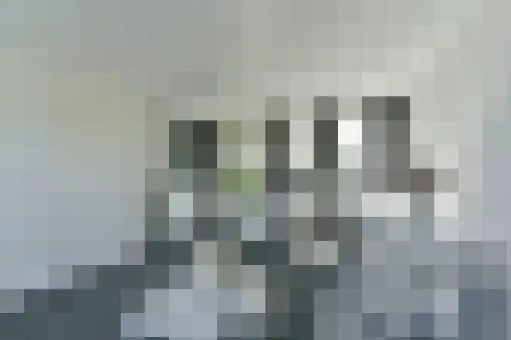 Duinmeer 11 Houten thumbnail 34