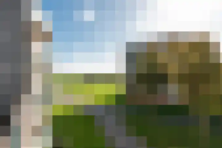 Duinmeer 11 Houten thumbnail 39