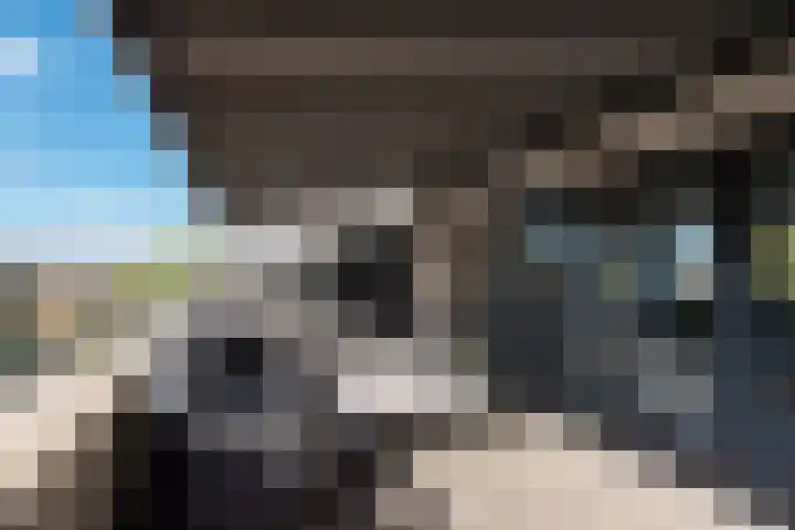 Duinmeer 11 Houten thumbnail 40