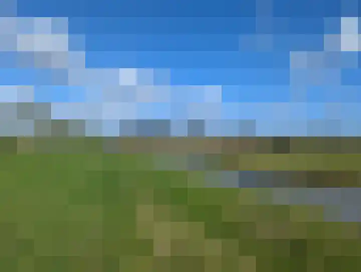 Duinmeer 11 Houten thumbnail 43