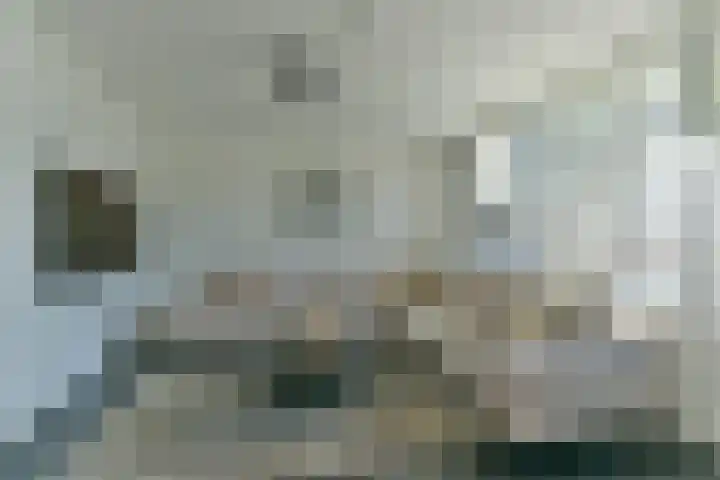 Duinmeer 11 Houten thumbnail 8