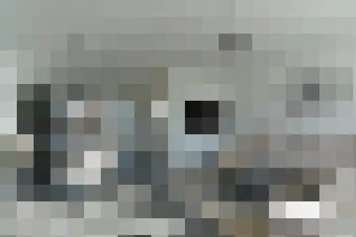Duinmeer 11 Houten thumbnail 9