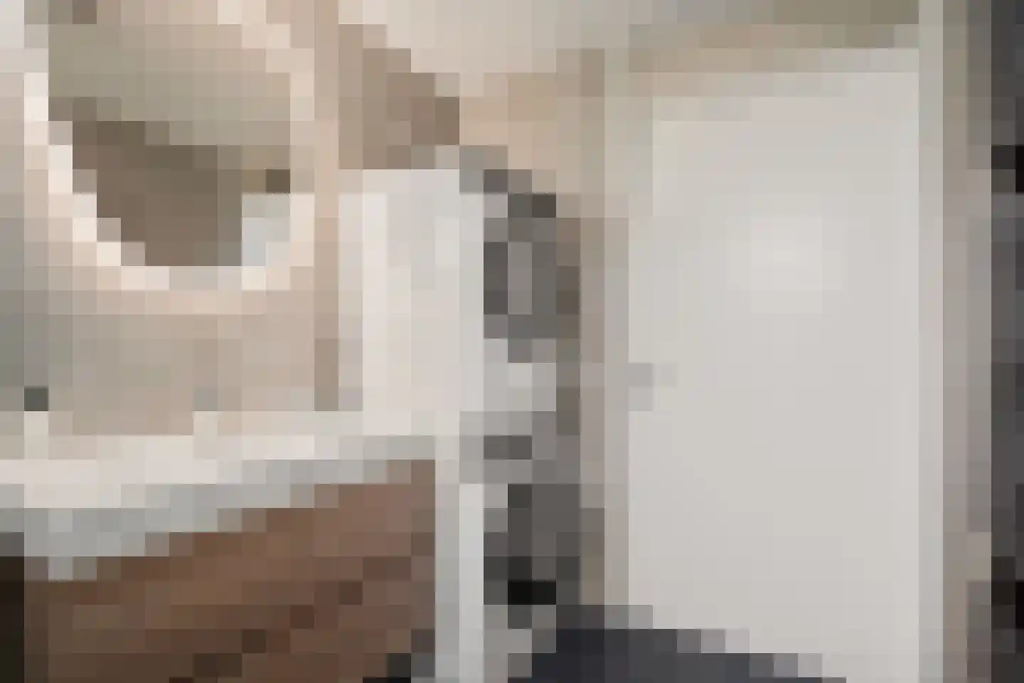 Duinmeer 15 Houten thumbnail 25