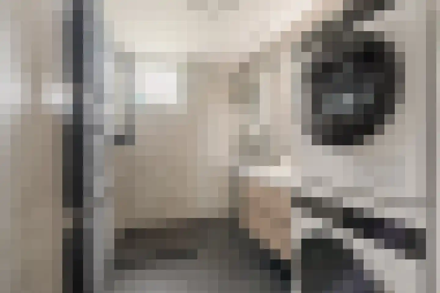 Duinmeer 15 Houten thumbnail 26