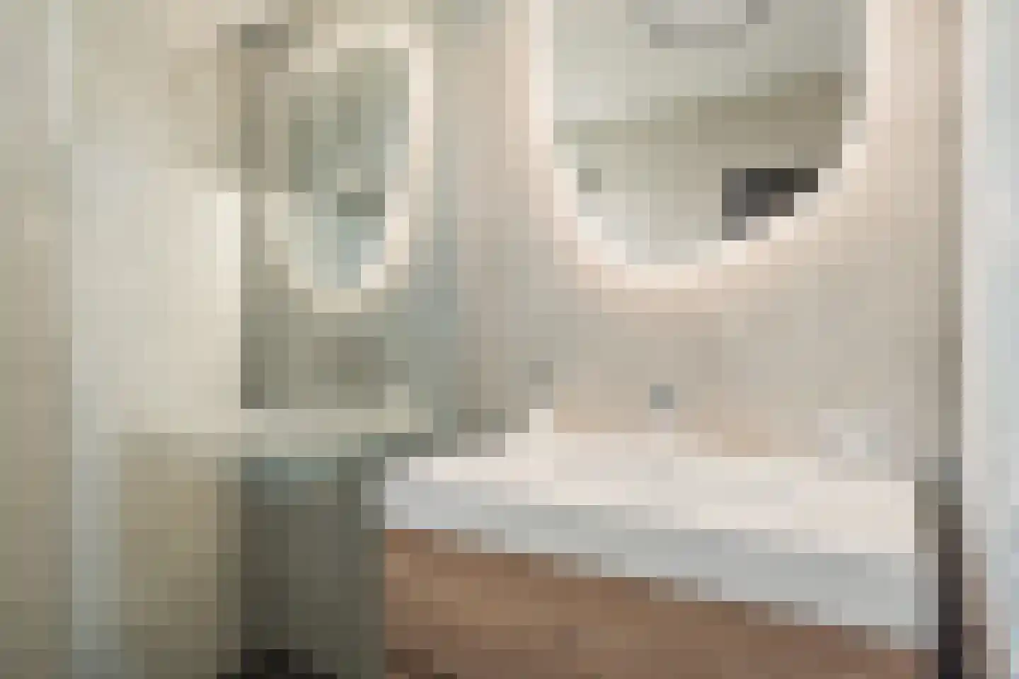 Duinmeer 15 Houten thumbnail 27