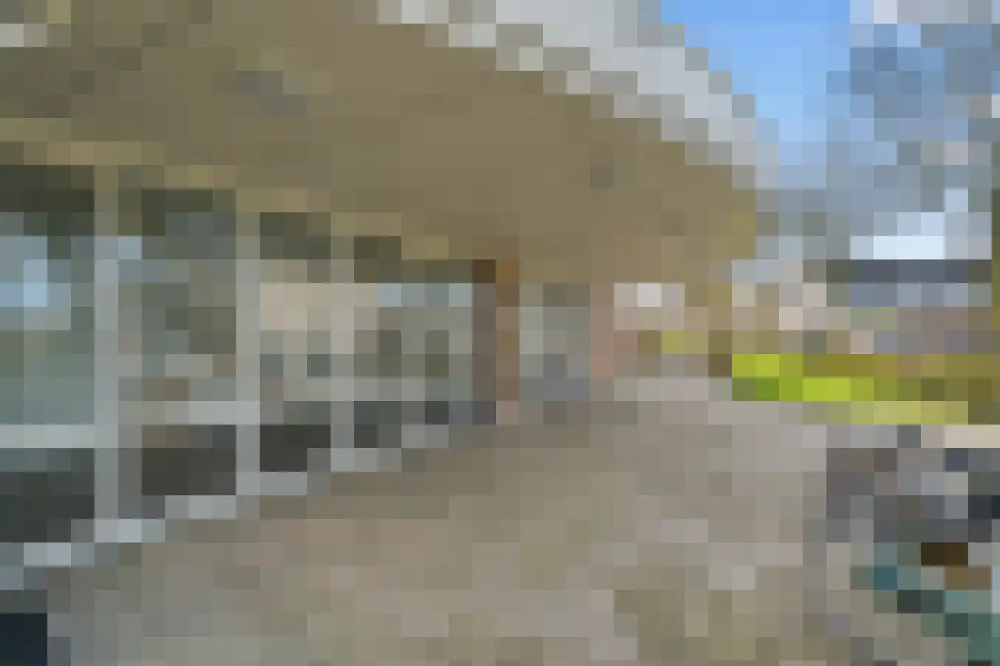 Duinmeer 15 Houten thumbnail 37
