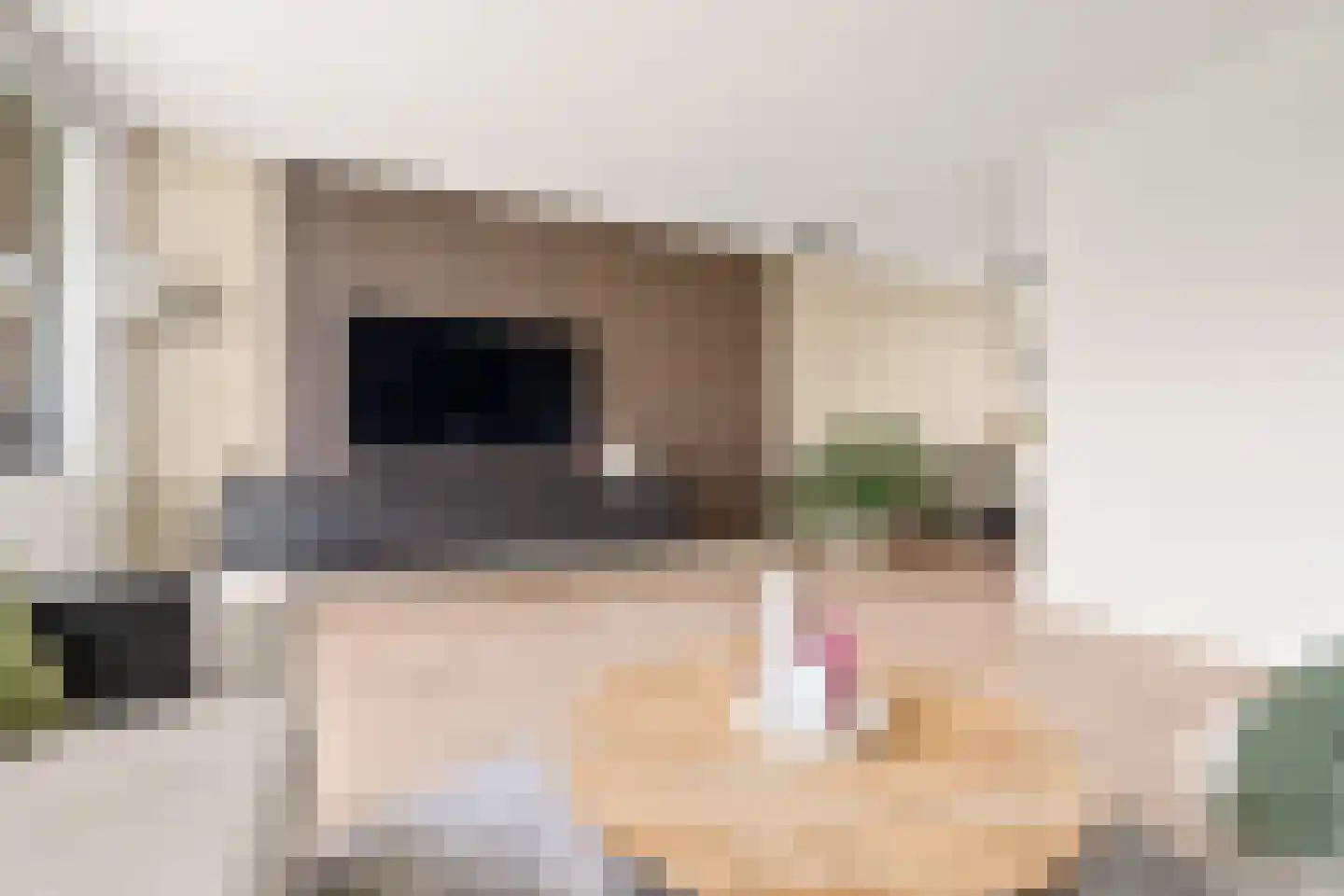 Duinmeer 15 Houten thumbnail 8