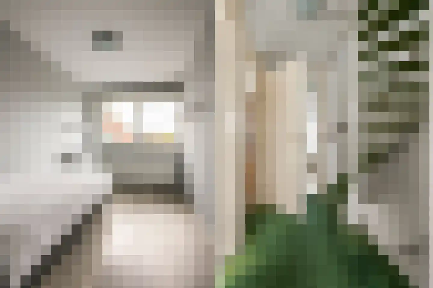 Duinmeer 24 Houten thumbnail 12