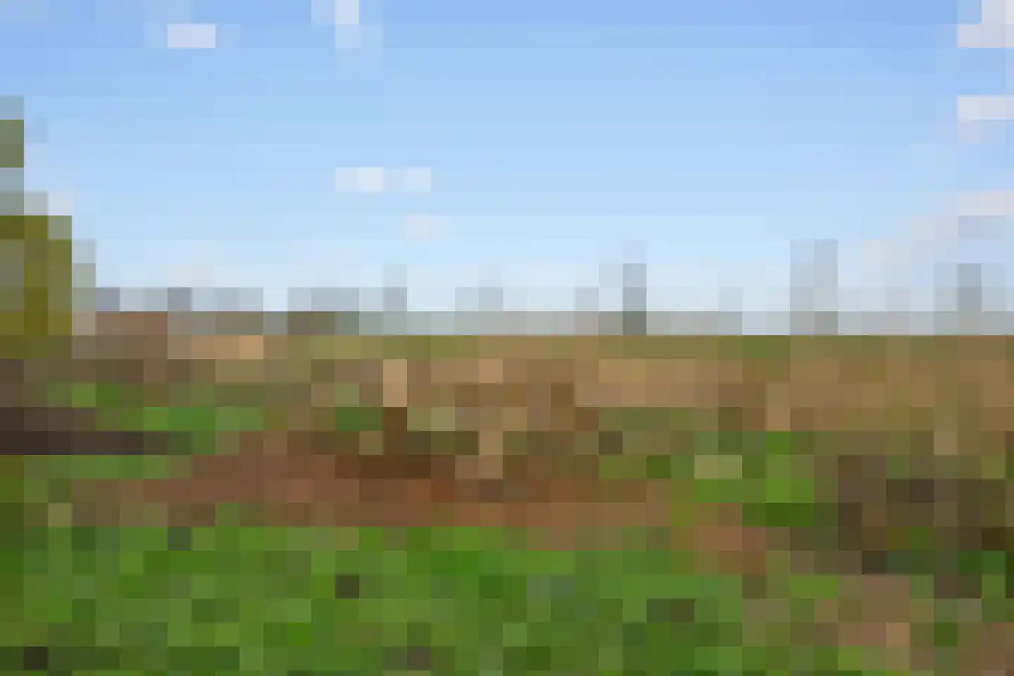 Duinmeer 24 Houten thumbnail 25