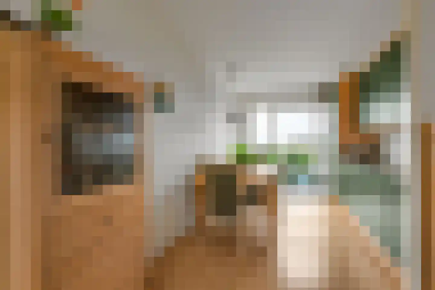 Duinmeer 24 Houten thumbnail 7