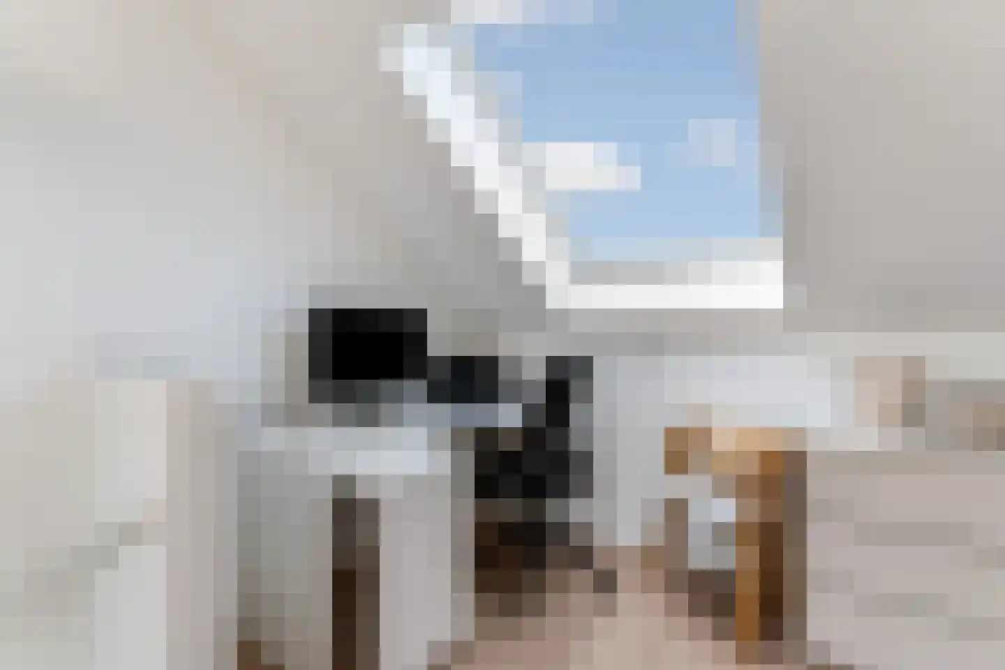 Duinmeerstraat 8 Almere thumbnail 36