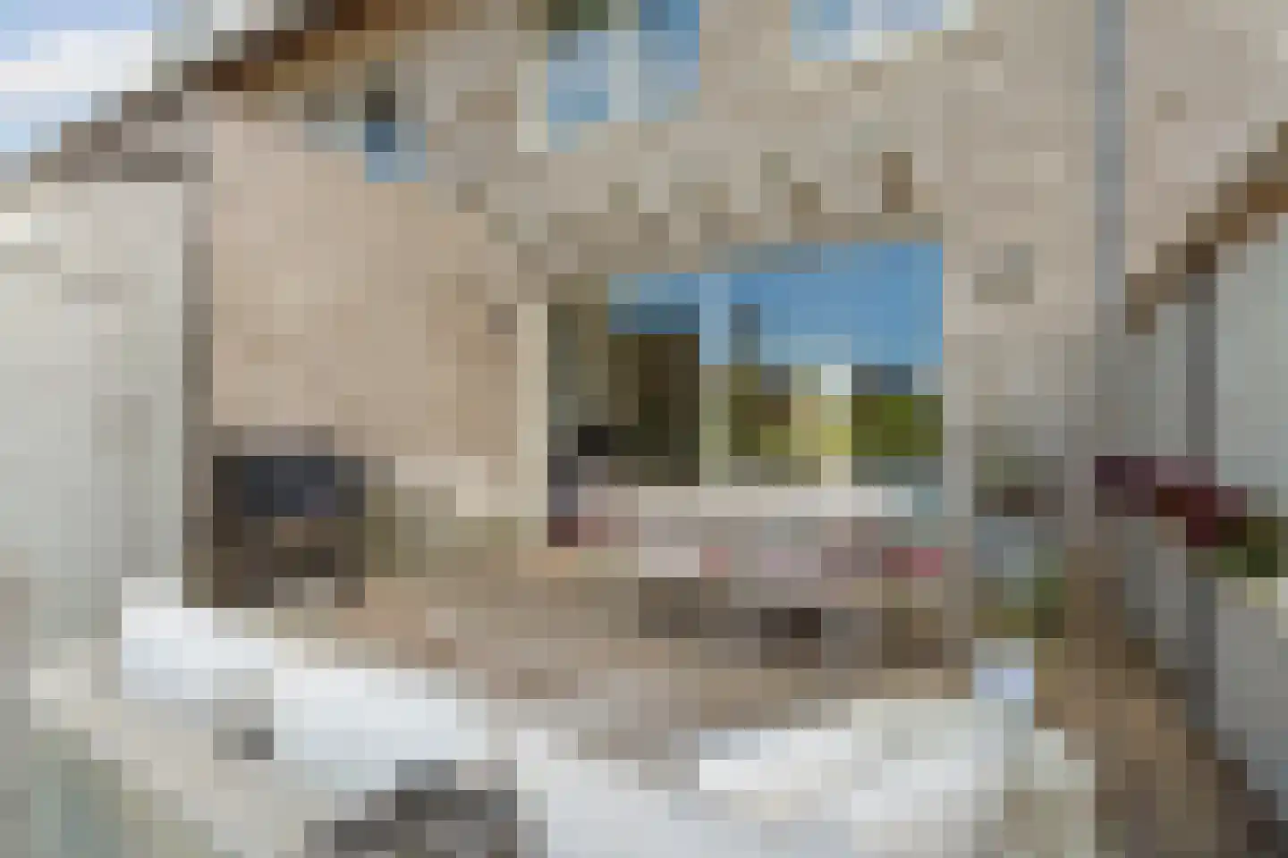 Duinmeerstraat 8 Almere thumbnail 40