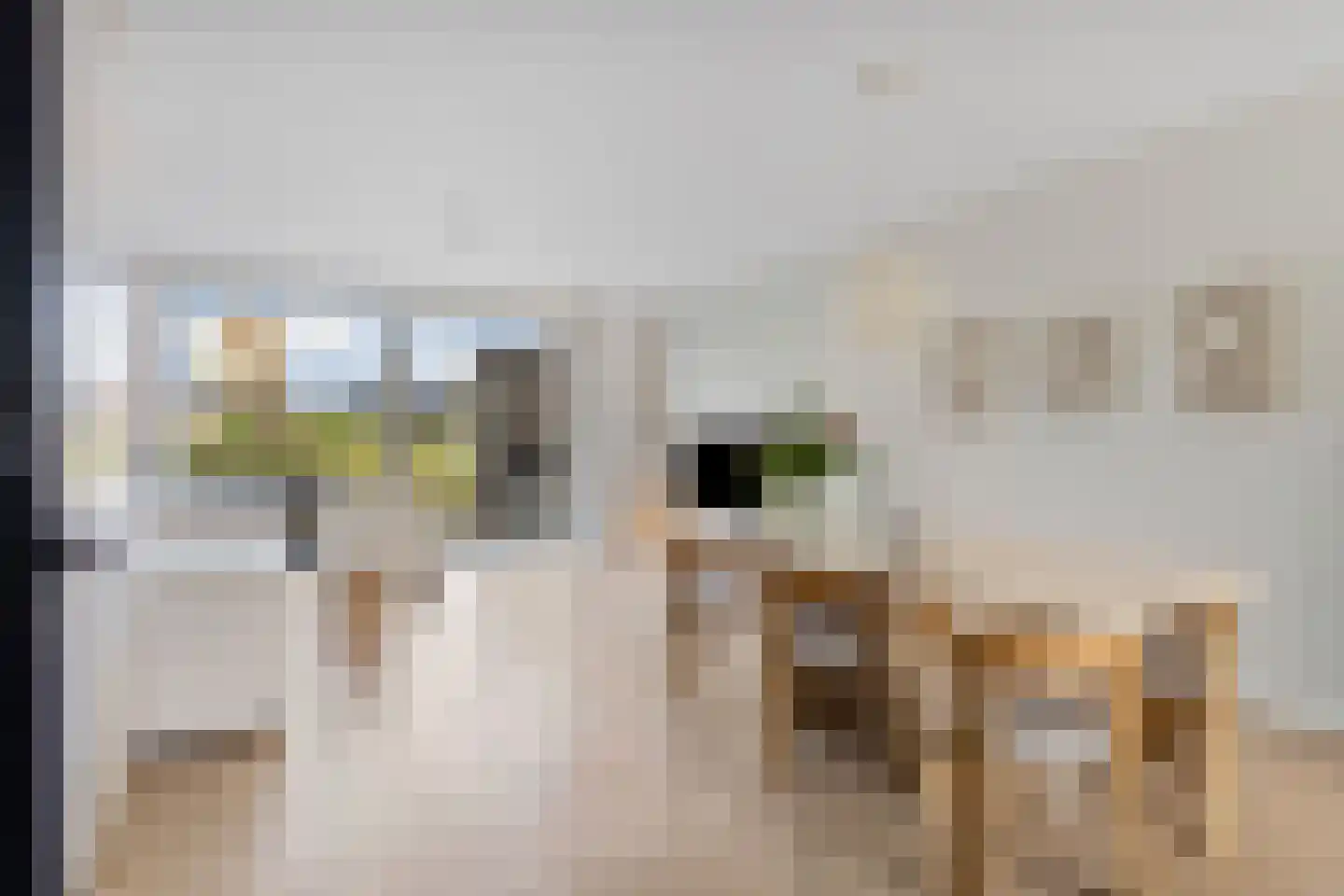 Duinmeerstraat 8 Almere thumbnail 8