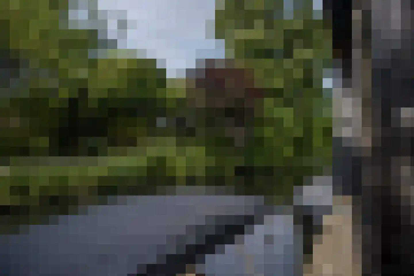 Duinmeierij 18 Leidschendam thumbnail 18